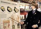 exposition_chimerologie_camille-renversade_centre-arthurien-comper_Brocéliande