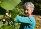 Corinne cueille les haricots verts