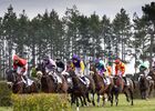 HIPPODROME MAURE DE BRETAGNE