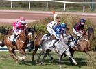 HIPPODROME MAURE DE BRETAGNE