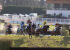 HIPPODROME MAURE DE BRETAGNE