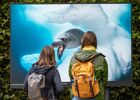 FPLG20_©Jean-Michel_Niron_photo04