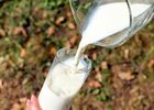 Fête du lait