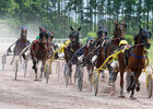 HIPPODROME MAURE DE BRETAGNE