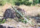 journée-en-broceliande-flore-et-legendes_contes_DestinationBroceliande