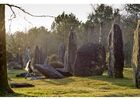Site naturel-Landes de Monteneuf-Brocéliande-Bretagne