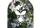 Visite jardin Oyona-Augan-2025
