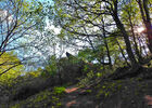 Chambre au Loup