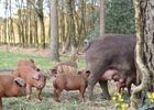 ferme-trevero-13