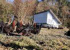ferme-trevero-9