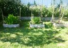 Gîte - Kerzouz - La Croix Hélléan - Josselin - Brocéliandeplantes 800
