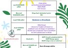 stage d'été écuries des quatre routes iffendic2