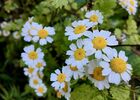 imgpreview-name-mising