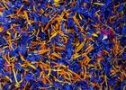 imgpreview-name-mising