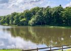vue-sur-l-etang-maison-des-legendes-paimpont---2