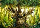 Forets_merveilleuses_Exposition_Comper_Concoret_Brocéliande