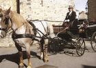 Balade en calèche Fordos mariage - Sérent Lizio - Morbihan - Bretagne