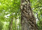 imgpreview-name-mising