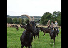 imgpreview-name-mising
