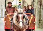 marché de Noël - Ploërmel - Brocéliande - Bretagne