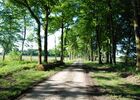 Domaine des Hayes_Maxent_Cottage_allée