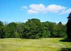 Domaine des Longrais_St Thurial_chênes centenaires