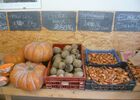 ESAT St Marcel vente directe bio - Morbihan - Bretagne