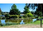 Etang - Copie