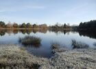Etang de la Marette