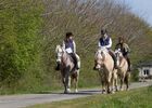 Ferme équestre Les Korrigans - La Croix-Helléan - Morbihan - Bretagne