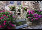 imgpreview-name-mising