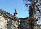 Chênes creux de la Chapelle de Kerméant - Néant sur Yvel