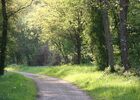 Voie verte Ploërmel-Guer-Messac