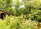imgpreview-name-mising