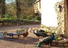 Le-Logis-de-l-Etang-de-l-Aune-9
