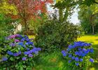 imgpreview-name-mising