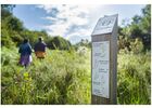Sentier-bout-lande-Monteneuf