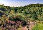 Vallon de la chambre au loup Iffendic