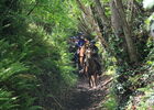 sentier équestre
