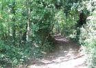 buttes-de-la-hautiere3