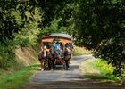 Calèche_de_Brocéliande_balade_contes_Tréhorenteuc_DestinationBrocéliande