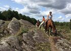 Chevaux_de_Brocéliande_centre_équestre_Tréhorenteuc