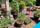 cote-jardin-maison-des-legendes-paimpont---2