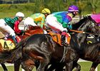 courses-hippiques-2
