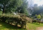 Camping - Cerisiers - Guillac - Josselin - Brocéliande - Morbihan - Bretagne