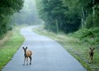 Sur la route vers Concoret