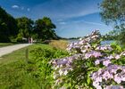 Circuit des Hortensias