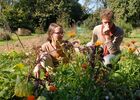Des heures dehors - ateliers jardin comestible - Ploërmel - Brocéliande
