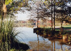 etang-2-OT-La-Gacilly