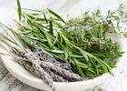Atelier - jardin - hiver - Concoret - Brocéliande - Morbihan - Bretagne